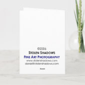 Carte Réflexion de phare (Dos)