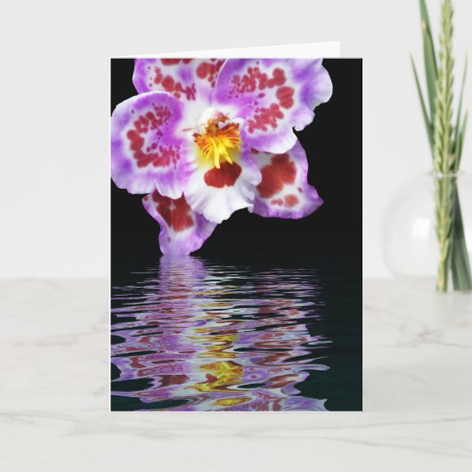 Carte Réflexion orchidée (Devant)