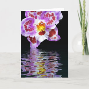 Carte Réflexion orchidée