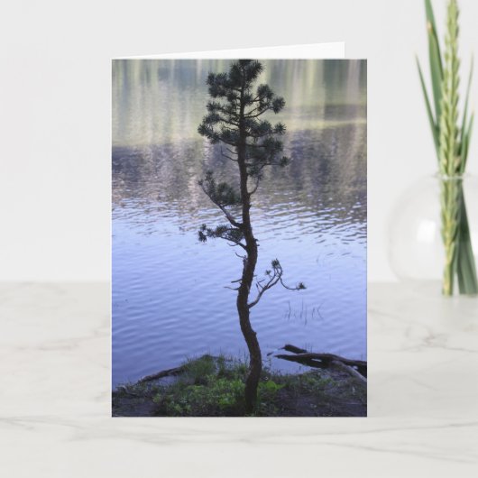 Carte Réflexion sur l'eau (Devant)