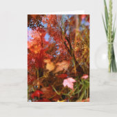 Carte Réflexions (Devant)