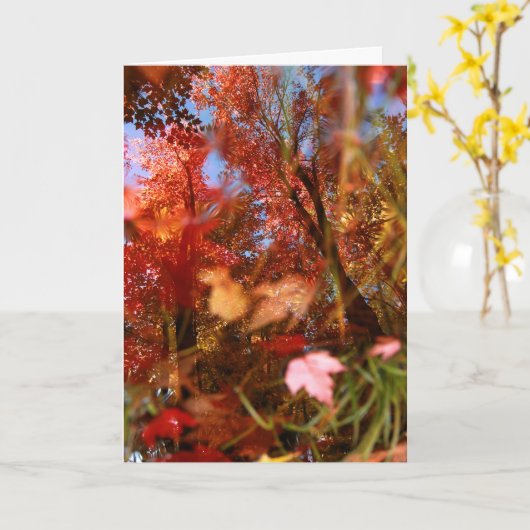 Carte Réflexions (Fleur jaune)