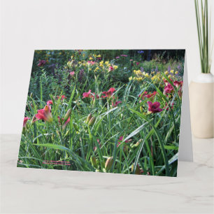 Carte Refloraison estivale Jardin d'été