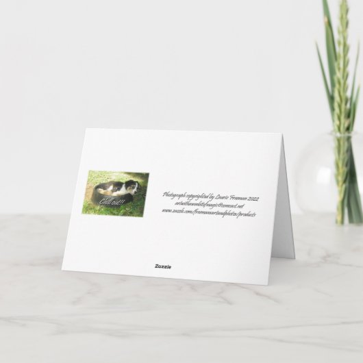 Carte "Refroidir !" (Dos)