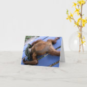 Carte Refroidissez pour le meilleur papa (Fleur jaune)