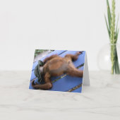 Carte Refroidissez pour le meilleur papa (Devant)