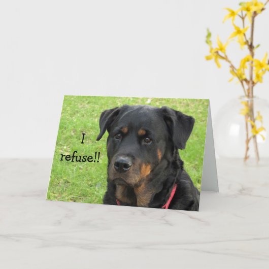 Carte Refuser Rottweiler Get Well Card (Fleur jaune)