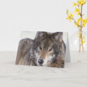 Carte Regard fixe de loup (Fleur jaune)