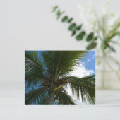 Carte Regard sur le palmier à coco Nature tropicale (Debout devant)