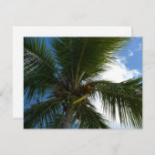 Carte Regard sur le palmier à coco Nature tropicale (Devant / Derrière)