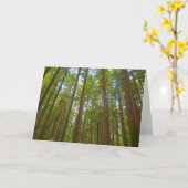 Carte Regard vers la forêt ancienne (Fleur jaune)