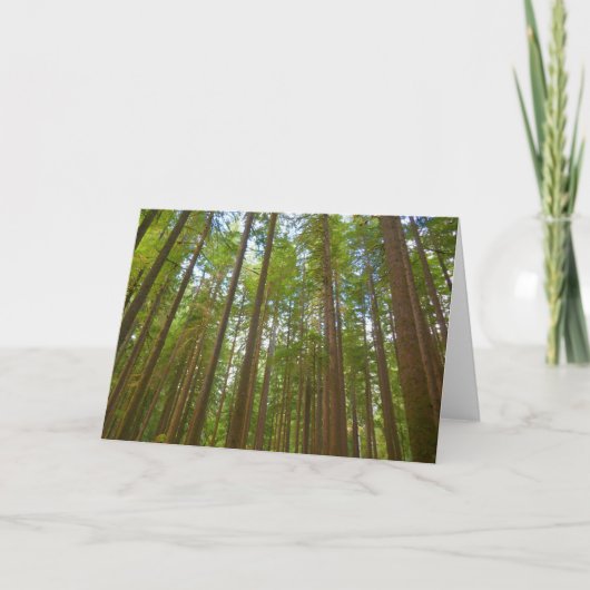 Carte Regard vers la forêt ancienne (Devant)