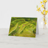 Carte Regardant les rizières (Fleur jaune)