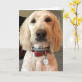 CARTE REGARDEZ DANS MES YEUX ***JOLI ANNIVERSAIRE POUR V (Fleur jaune)