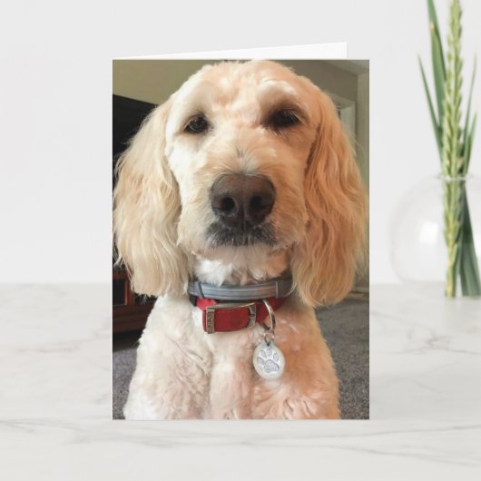 CARTE REGARDEZ DANS MES YEUX ***JOLI ANNIVERSAIRE POUR V (Devant)