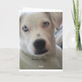 Carte regardez juste ce visage ..... (Dos)