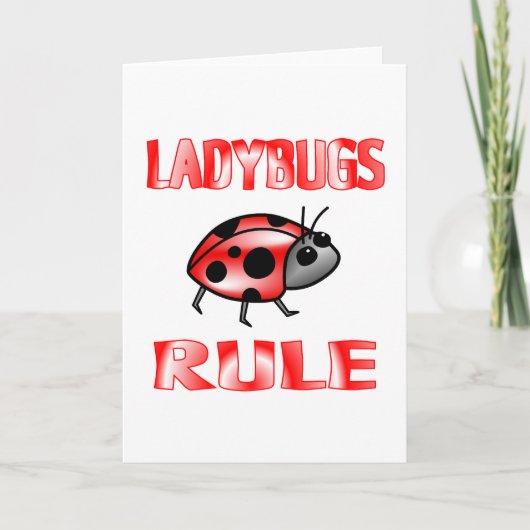 CARTE RÈGLE LADYBUGS (Devant)