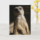 Carte Regret - je suis les excuses de SoSorry ou la (Fleur jaune)