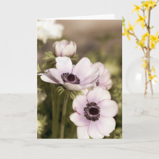 Carte Remarque sur les anémones violettes (Fleur jaune)