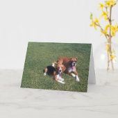 Carte Remboursé (Fleur jaune)