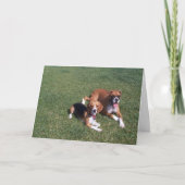 Carte Remboursé (Devant)