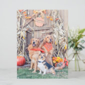 Carte Remerciez les chiens mignons et la récolte de Than (Debout devant)