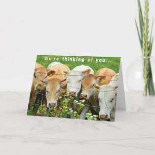 Carte Remettez-vous bientôt Ferme Ranch Bovins Fleurs de