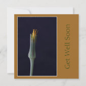 Carte Remettez-vous bientôt Fleurs Tons Brun Doré (Devant)