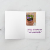 CARTE REMETTEZ-VOUS / MARGUERITES VIOLETTES DANS UN POT (Intérieur)