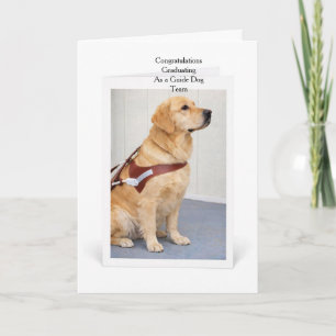 Carte Remise des diplômes du chien guide Golden Retrieve
