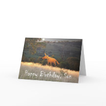 Renard au clair de lune, Joyeux Fils d'anniversair