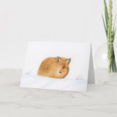 Carte Renard dans la neige Noël (Devant)