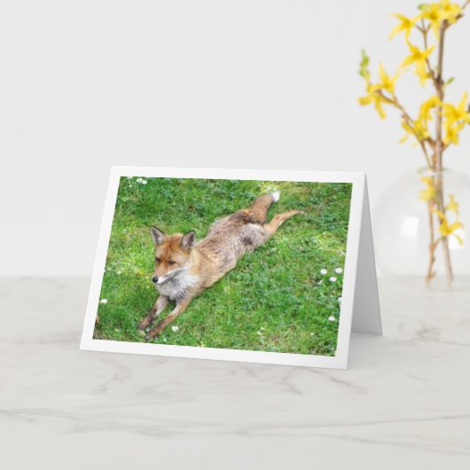 Carte Renard Étendu sur l'Herbe (Fleur jaune)