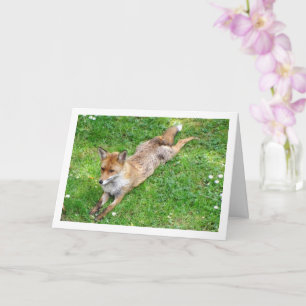 Carte Renard étendu sur l'herbe
