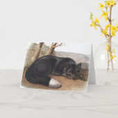 Carte Renard noir ou argenté américain (Vulpes fulvus) (Fleur jaune)