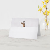 Carte Renard rouge (Fleur jaune)