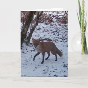 Carte Renard Rouge d'Hiver Faune  – Personnalisé