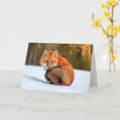 Carte Renard Rouge En Neige | Yukon (Fleur jaune)