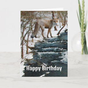 Carte Renard rouge par Creek Saison d'hiver Anniversaire