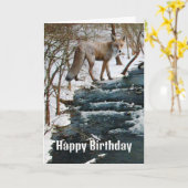 Carte Renard rouge par Creek Saison d'hiver Anniversaire (Fleur jaune)
