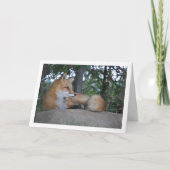 Carte Renard Rouge sur un Rocher (Devant)