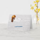 Carte Renard Saut | Yukon, Canada (Fleur jaune)