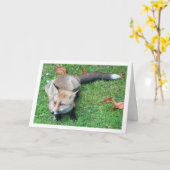 Carte Renard sur pelouse (Fleur jaune)