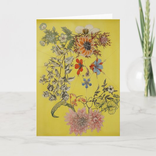 Carte Renarde (Devant)