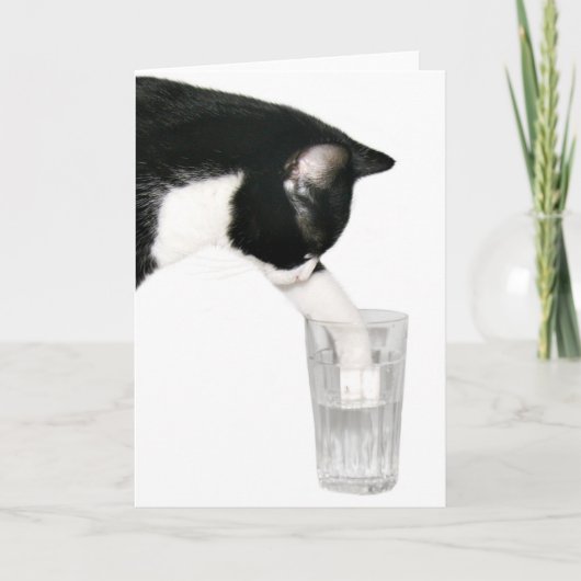 Carte Rencontrez-moi pour les boissons chat (Devant)