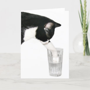 Carte Rencontrez-moi pour les boissons chat