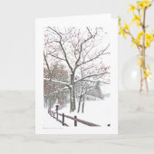 Carte +Rendez-vous en nature : Taille de salutation (Fleur jaune)