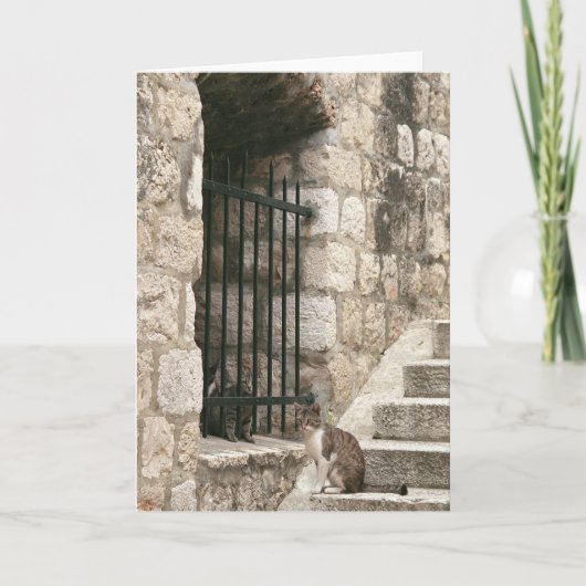 Carte "renflouement" (Devant)