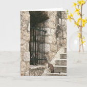 Carte "renflouement" (Fleur jaune)