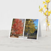 Carte Reno Parcs en Automne, Nevada, Photographie J.Halk (Fleur jaune)